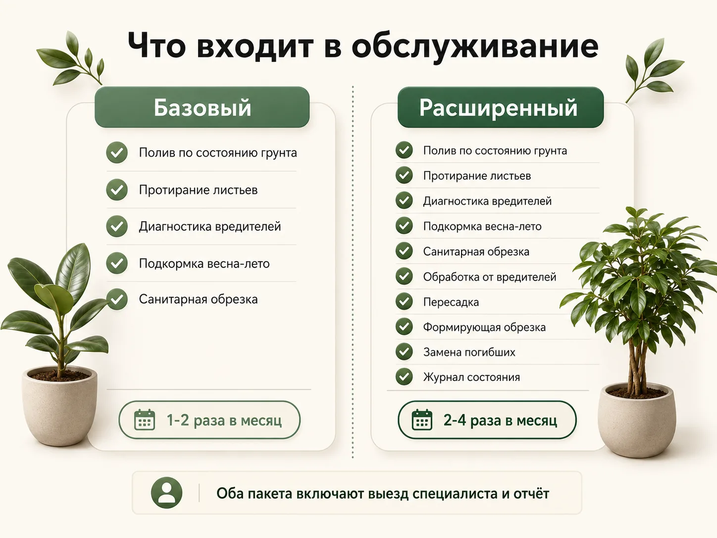 Пакеты абонентского обслуживания Инфографика: что входит в обслуживание — базовый и расширенный пакеты